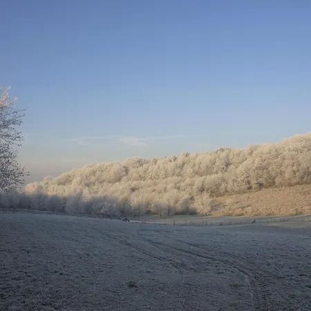 Stacaravan In De Natuur Bij Maastricht Chalet